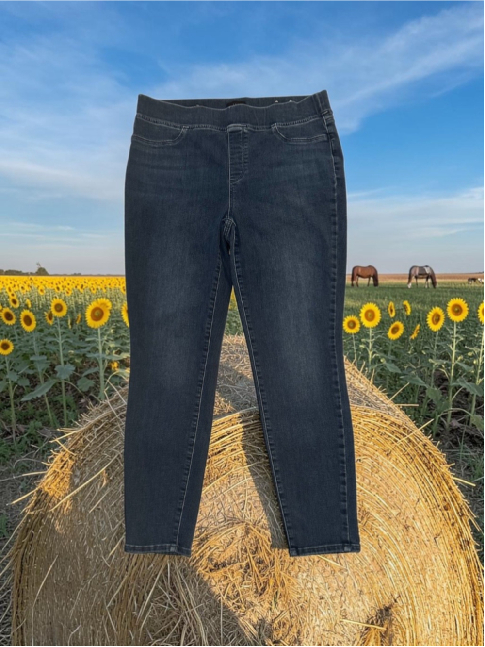 Talbots Pull-on Jegging Jeans Womens Size 12 Blue Distressed Faded Denim Hi-Rise